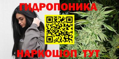 apvp Нарткала