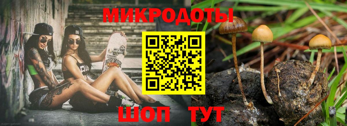 Галлюциногенные грибы Psilocybine cubensis  Вход с VPN  Подольск  Галлюциногенные грибы Psilocybe 